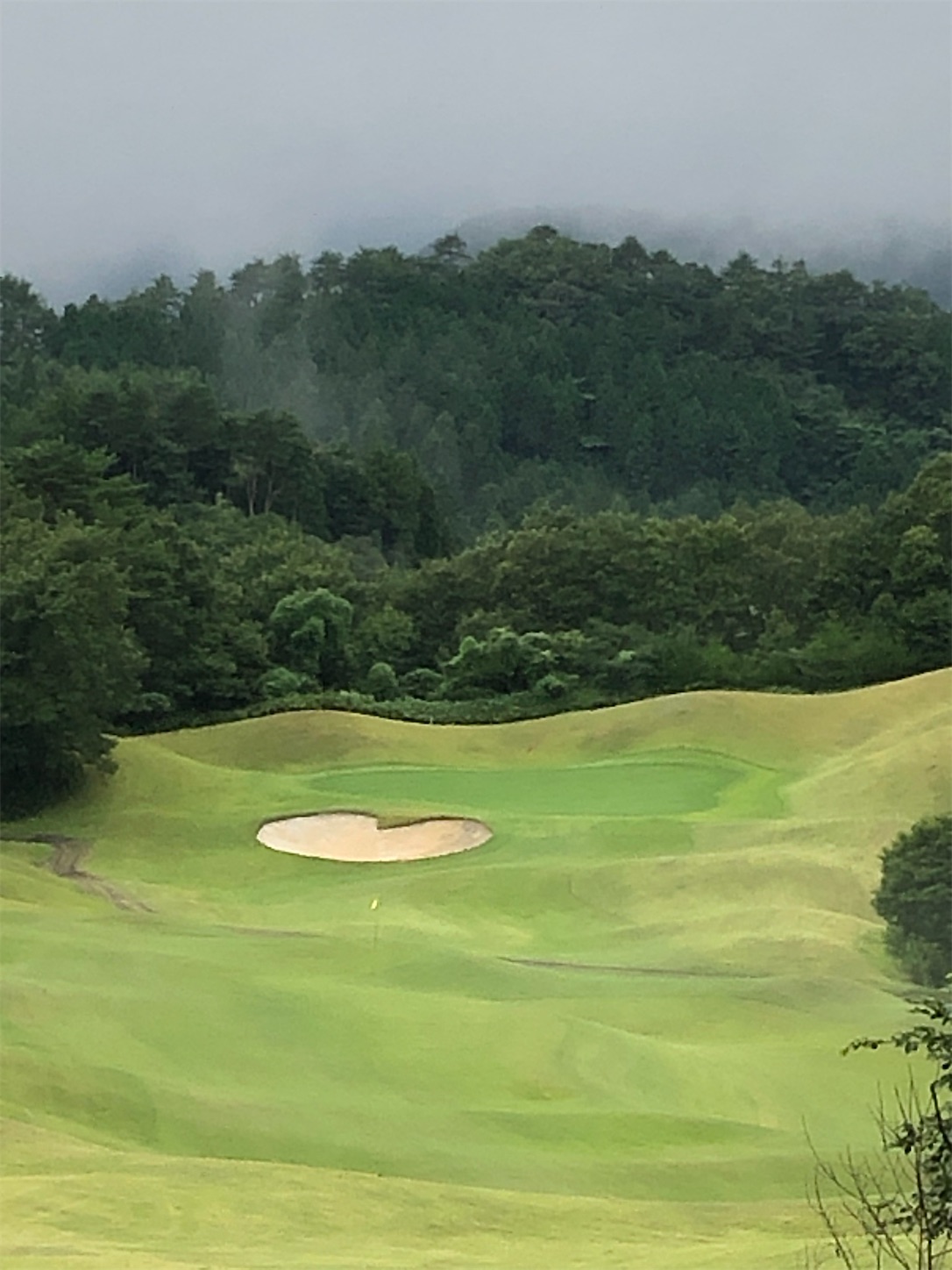 f:id:sen325:20210906101054j:image f:id:sen325:20210906101054j:image