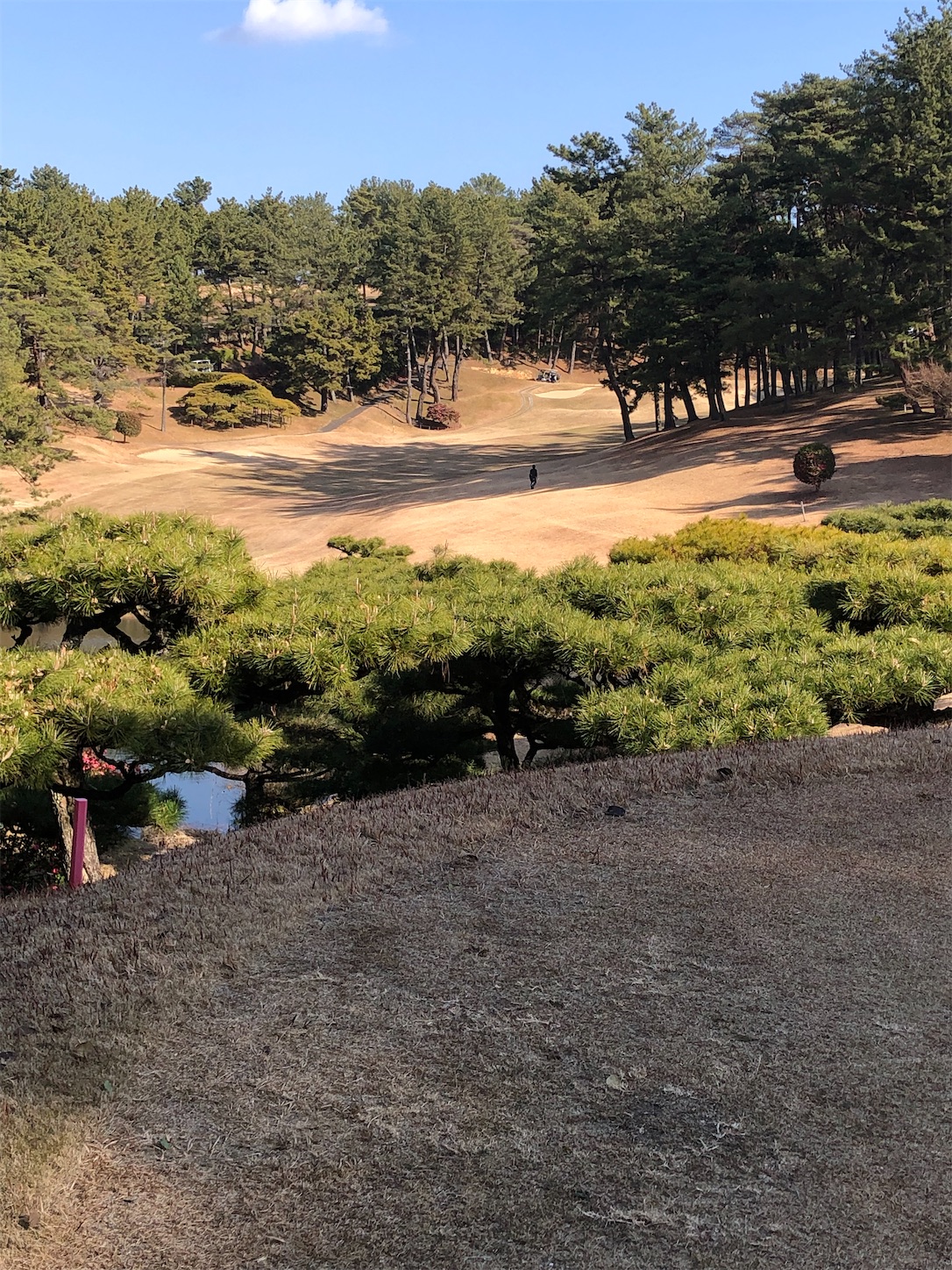 f:id:sen325:20220104225534j:image f:id:sen325:20220104225534j:image