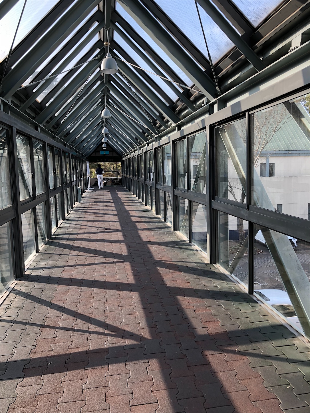 f:id:sen325:20220110194932j:image f:id:sen325:20220110194932j:image