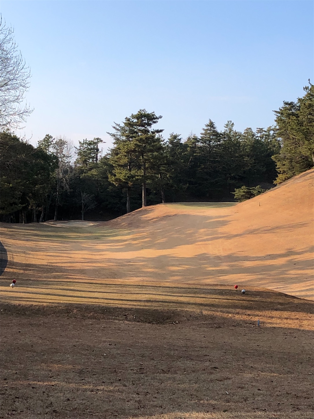 f:id:sen325:20220111205422j:image f:id:sen325:20220111205422j:image