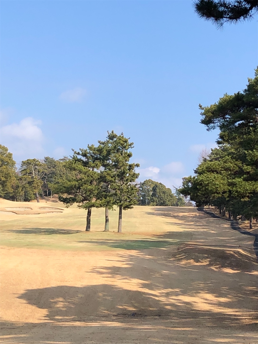 f:id:sen325:20220111210102j:image f:id:sen325:20220111210102j:image