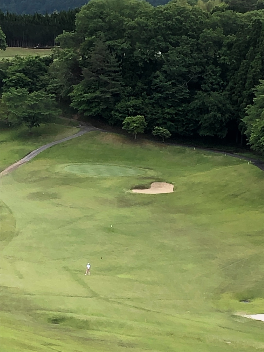 f:id:sen325:20220520232339j:image f:id:sen325:20220520232339j:image