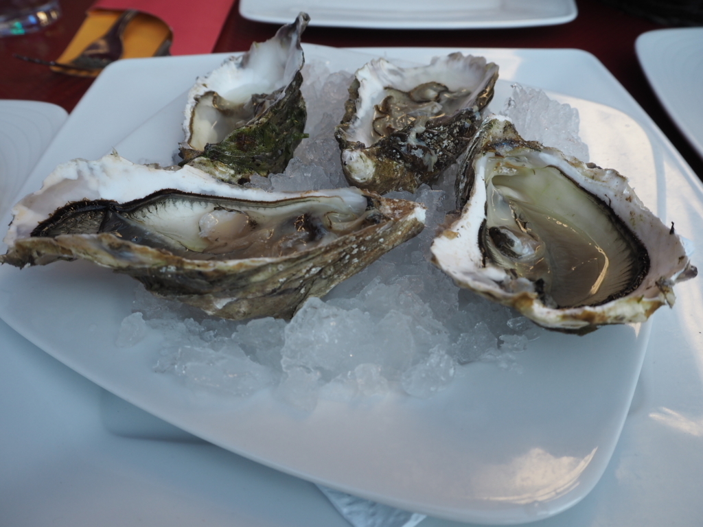 f:id:senaandchao:20170615132604j:plain