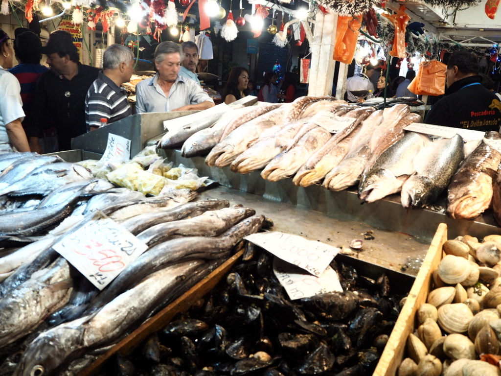 f:id:senaandchao:20180324202437j:plain