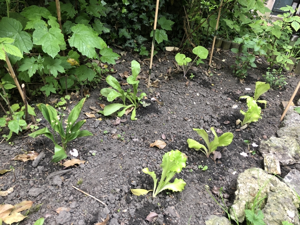 f:id:senaandchao:20180706202431j:plain