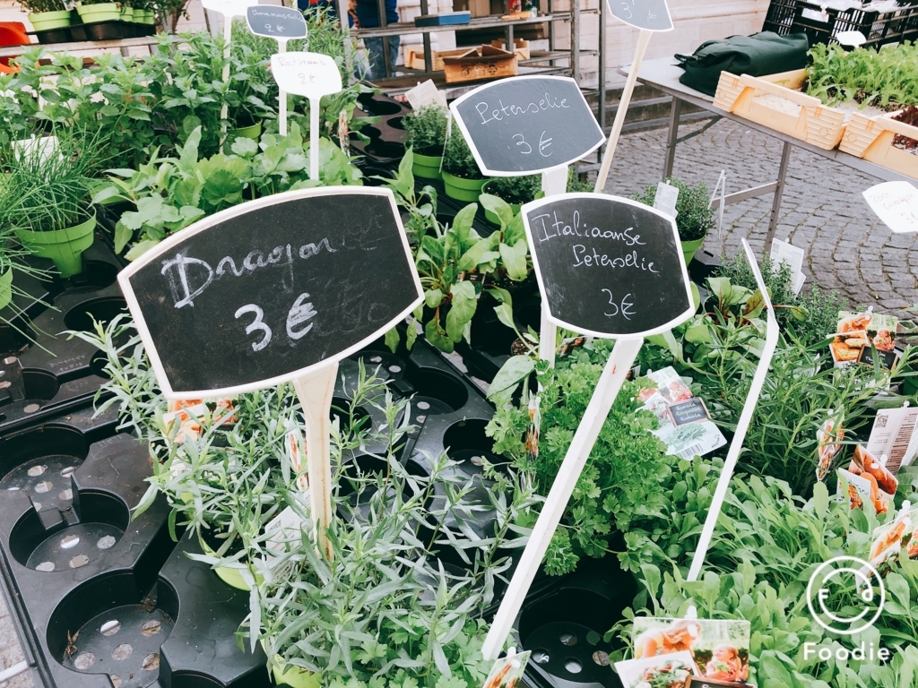 f:id:senaandchao:20180706203449j:plain