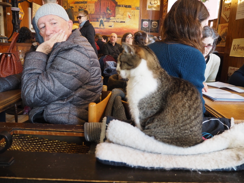 f:id:senaandchao:20180819213621j:plain