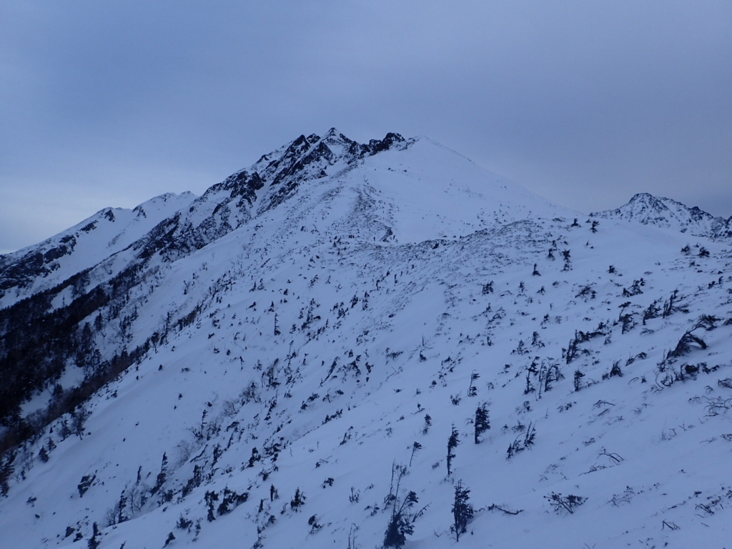 f:id:senaka45:20170119183801j:plain