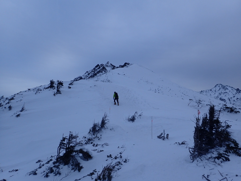 f:id:senaka45:20170119184058j:plain