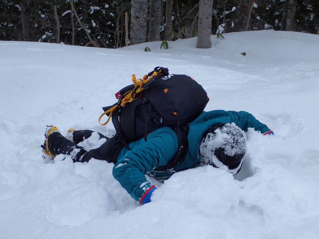 f:id:senaka45:20170119222716j:plain