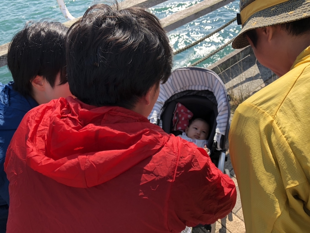 f:id:senaka45:20181203213811j:plain