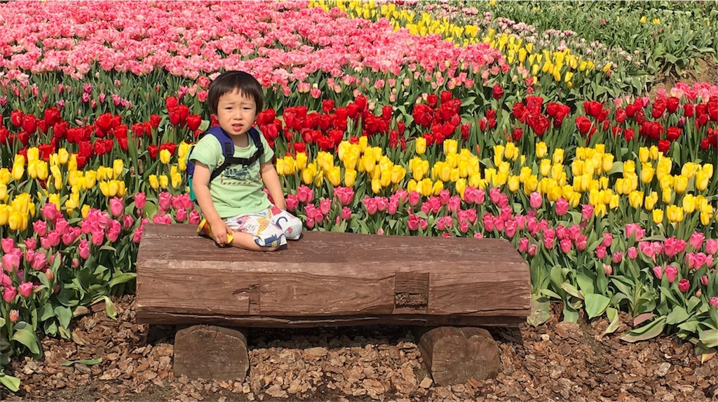 f:id:senasis:20180321173524j:image f:id:senasis:20180321173524j:image