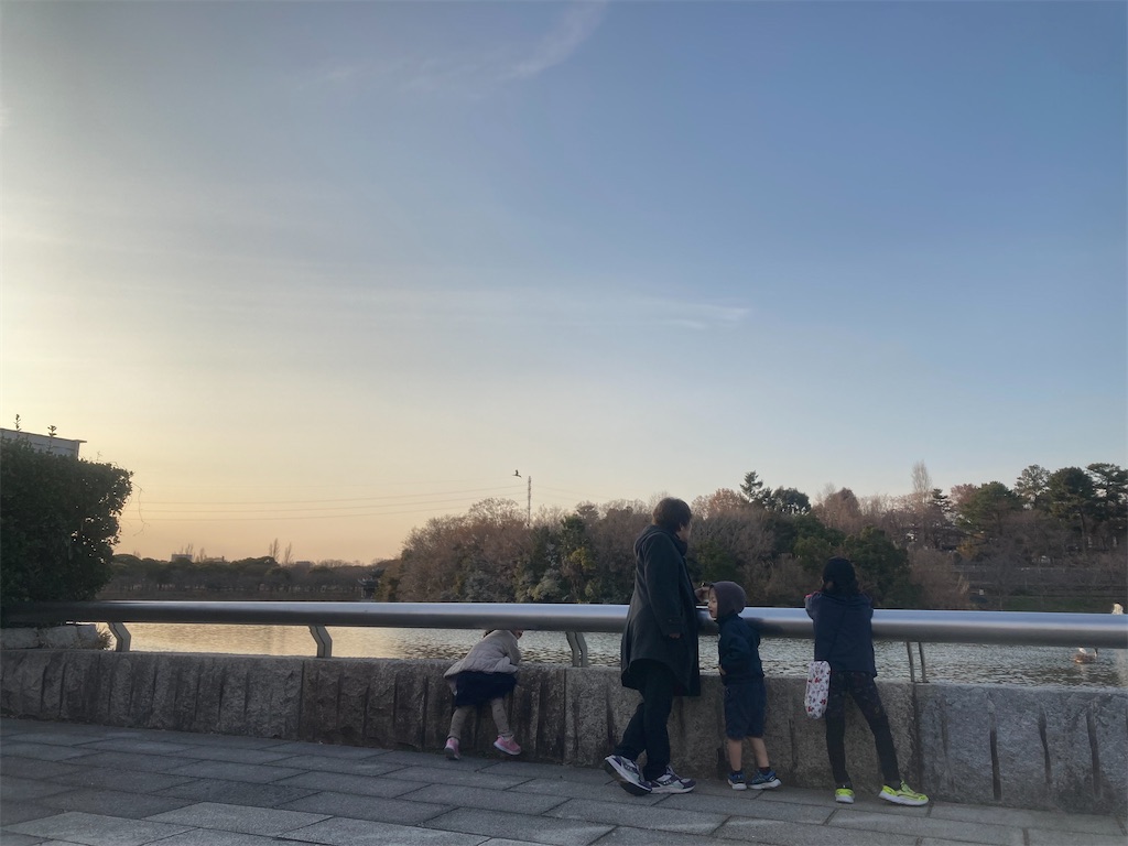 f:id:senasis:20250324220225j:image f:id:senasis:20250324220225j:image