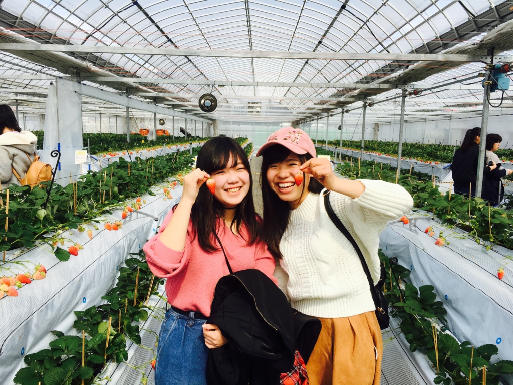 f:id:senbikiichigo:20170304144503j:plain f:id:senbikiichigo:20170304144503j:plain