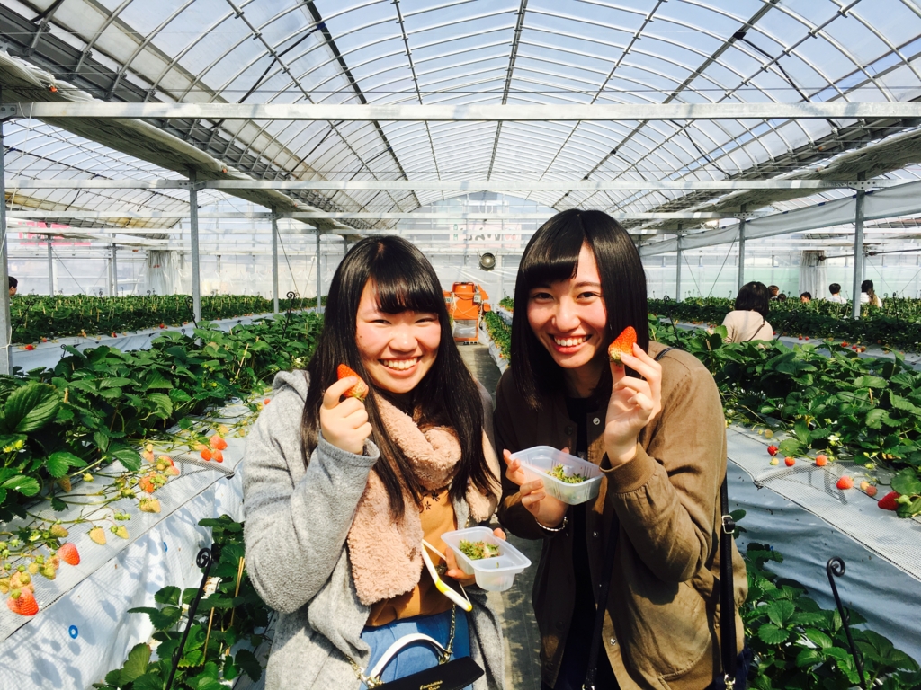 f:id:senbikiichigo:20170311172607j:plain f:id:senbikiichigo:20170311172607j:plain