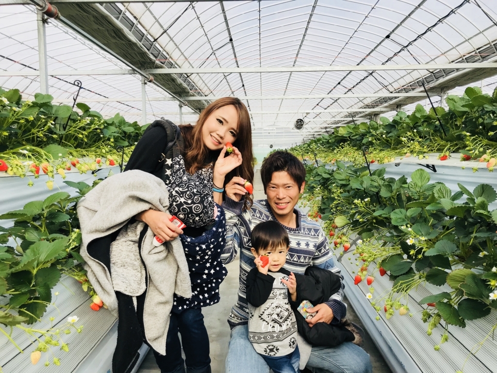 f:id:senbikiichigo:20180120123647j:plain f:id:senbikiichigo:20180120123647j:plain