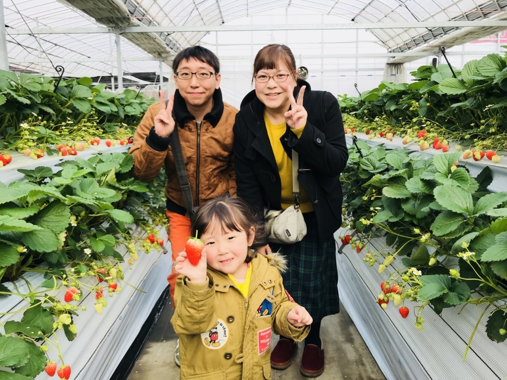 f:id:senbikiichigo:20180120124350j:plain f:id:senbikiichigo:20180120124350j:plain
