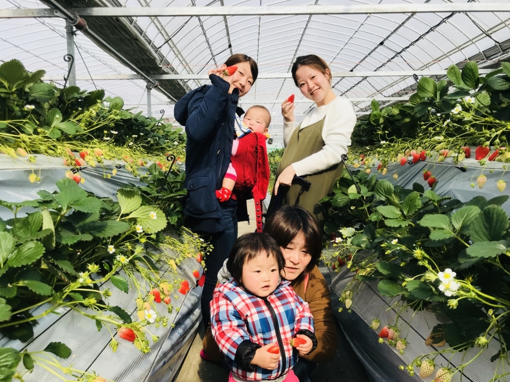 f:id:senbikiichigo:20180203193953j:plain f:id:senbikiichigo:20180203193953j:plain