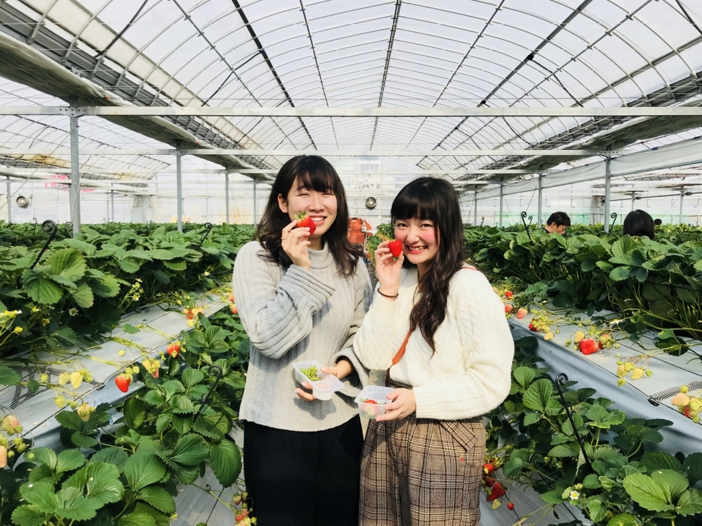 f:id:senbikiichigo:20180203194201j:plain f:id:senbikiichigo:20180203194201j:plain