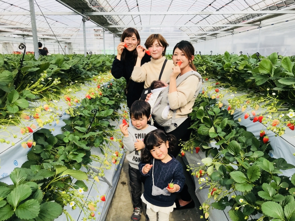 f:id:senbikiichigo:20180203194359j:plain f:id:senbikiichigo:20180203194359j:plain