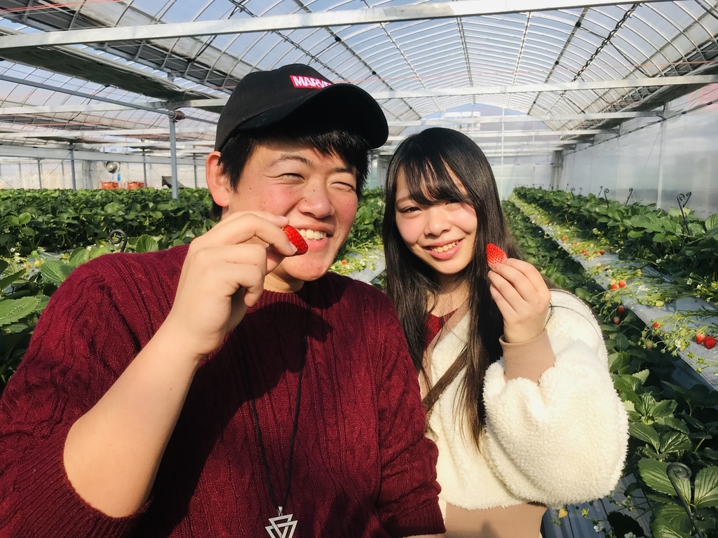 f:id:senbikiichigo:20190119163410j:plain f:id:senbikiichigo:20190119163410j:plain