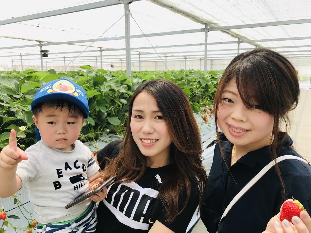 f:id:senbikiichigo:20190525153050j:plain f:id:senbikiichigo:20190525153050j:plain