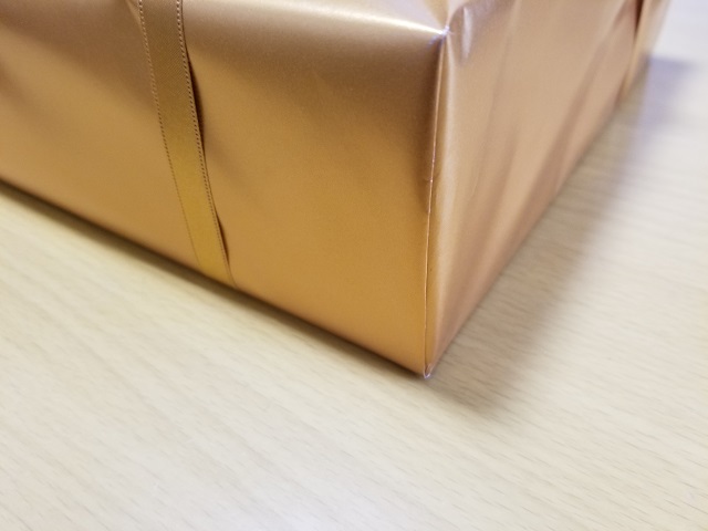 f:id:senchoco:20190212182253j:plain