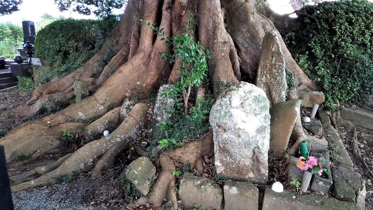 亘理伊達家】二代伊達宗実と柴田親子の悲劇 - もとじろう旅ブログ