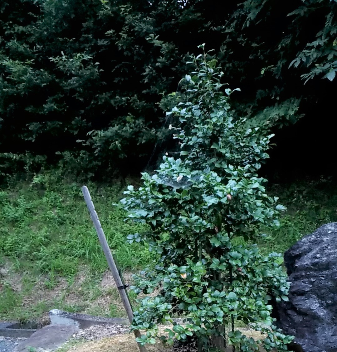 f:id:sendai-deep:20210908124802j:plain