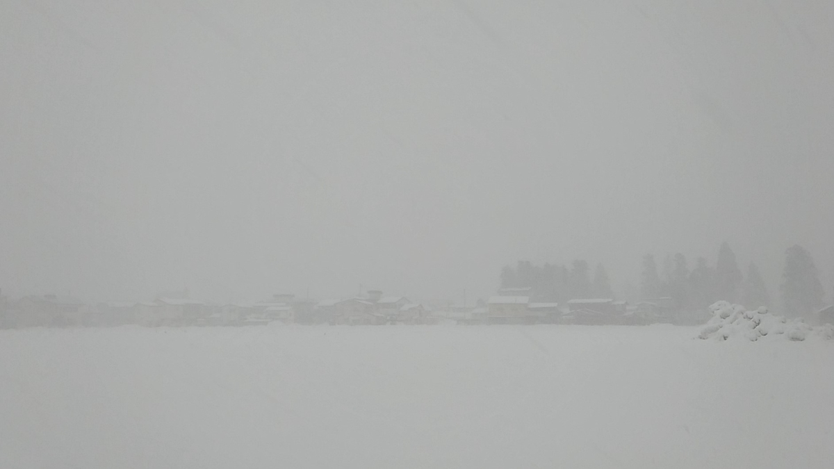 f:id:sendai-deep:20220312140643j:plain