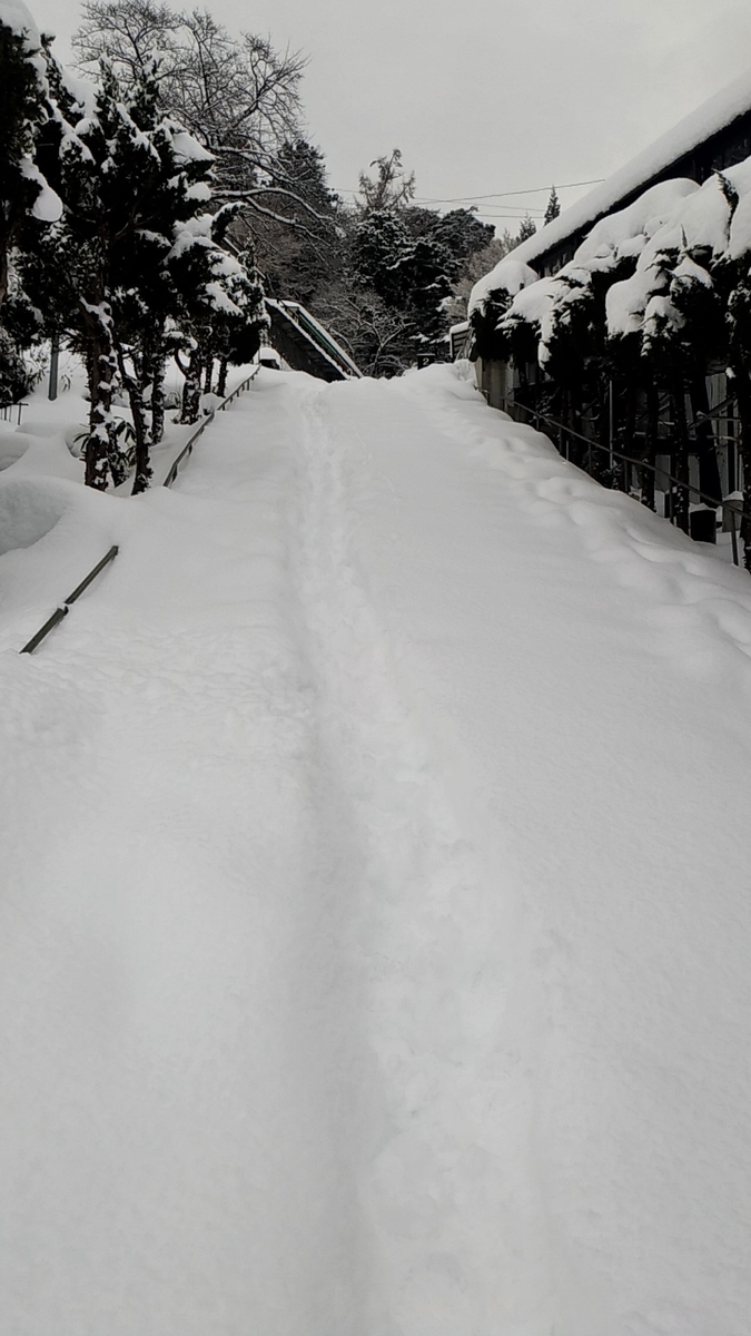 f:id:sendai-deep:20220313170637j:plain