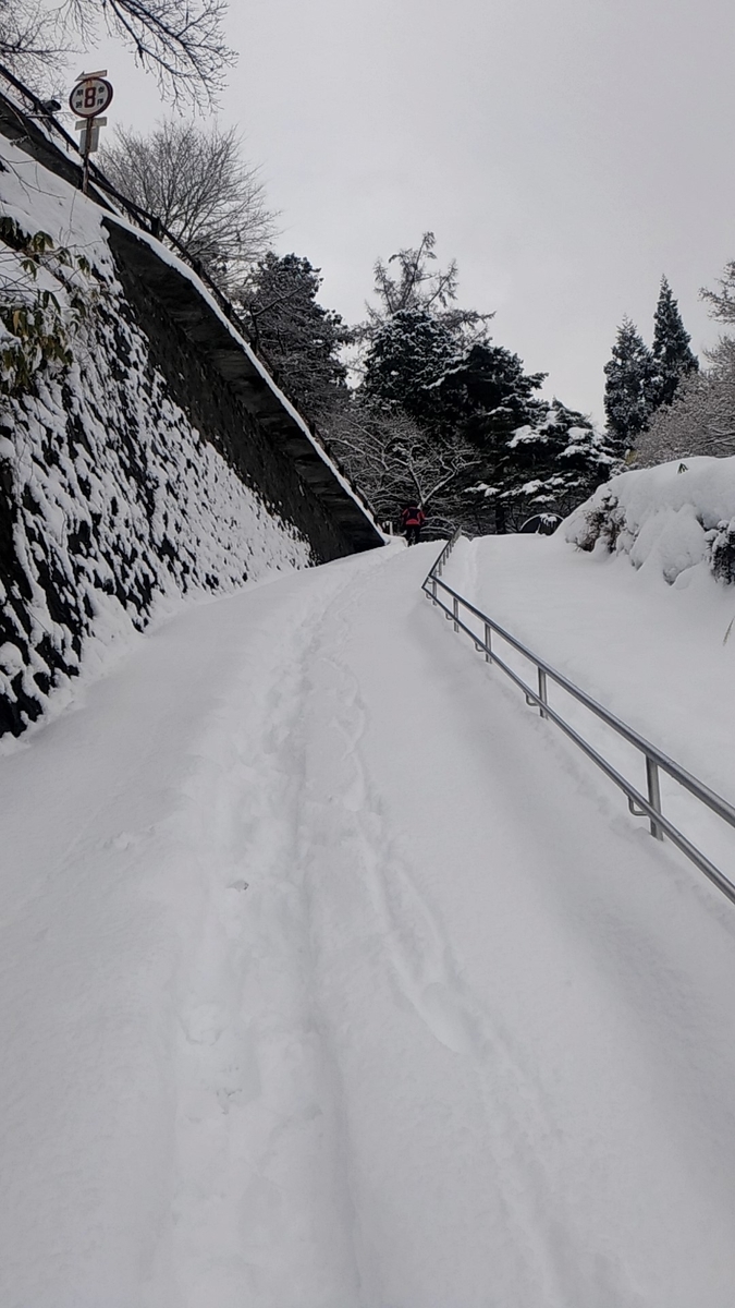 f:id:sendai-deep:20220313171248j:plain