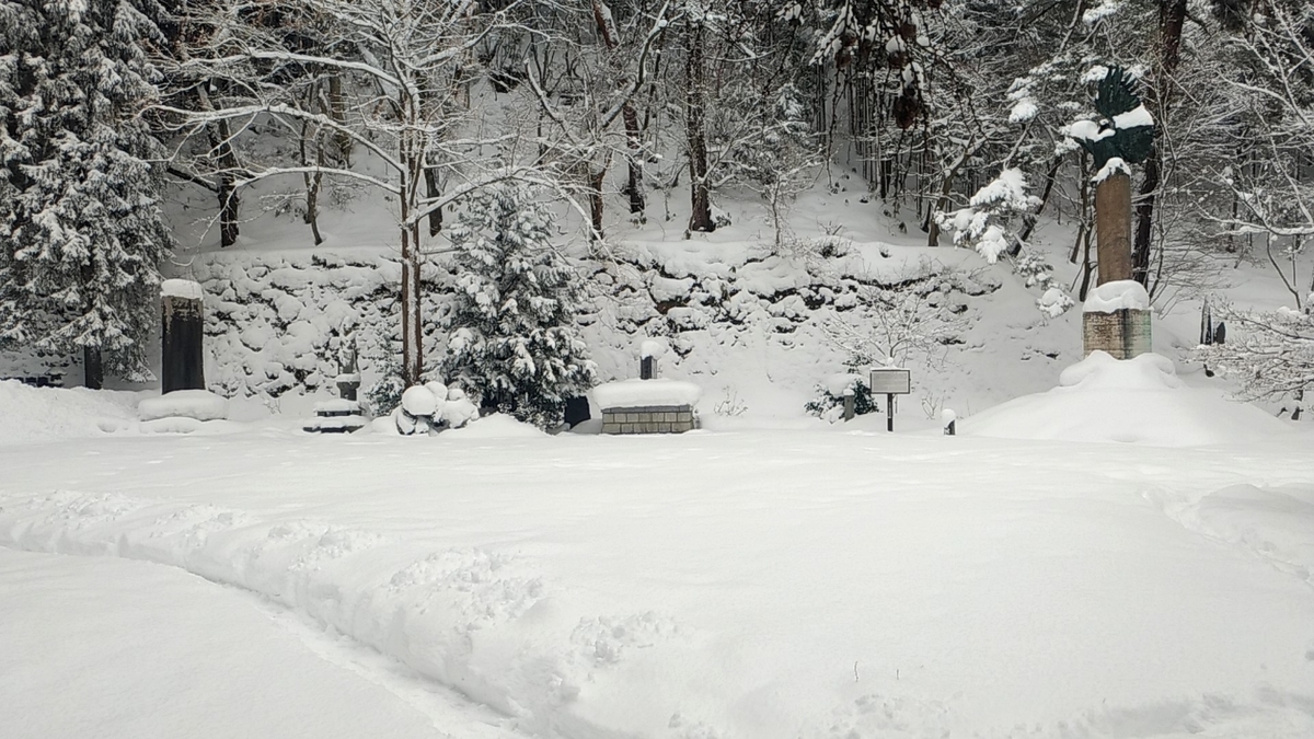 f:id:sendai-deep:20220313172500j:plain