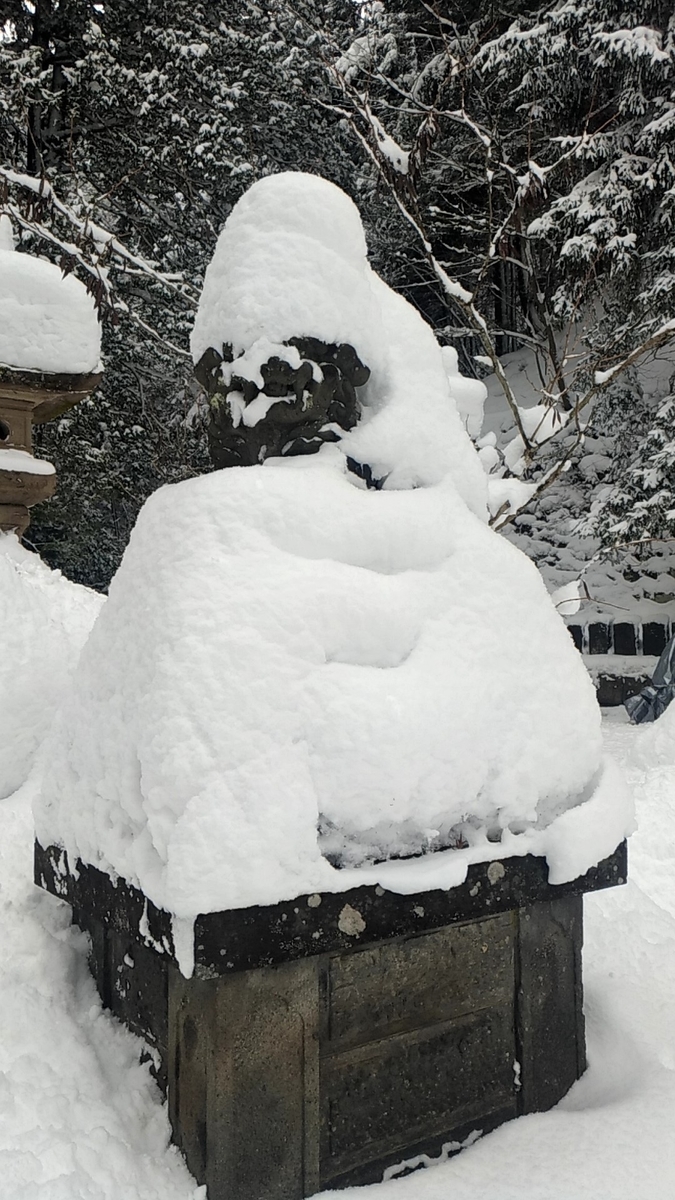 f:id:sendai-deep:20220313214151j:plain