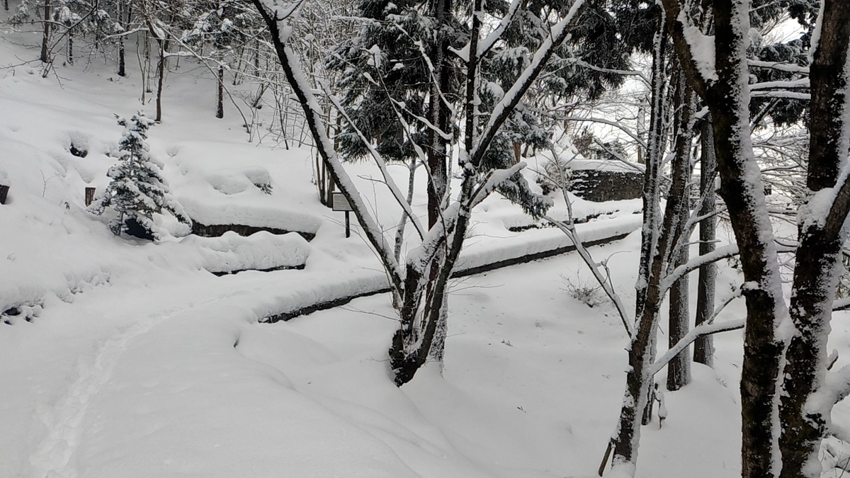 f:id:sendai-deep:20220316175102j:plain