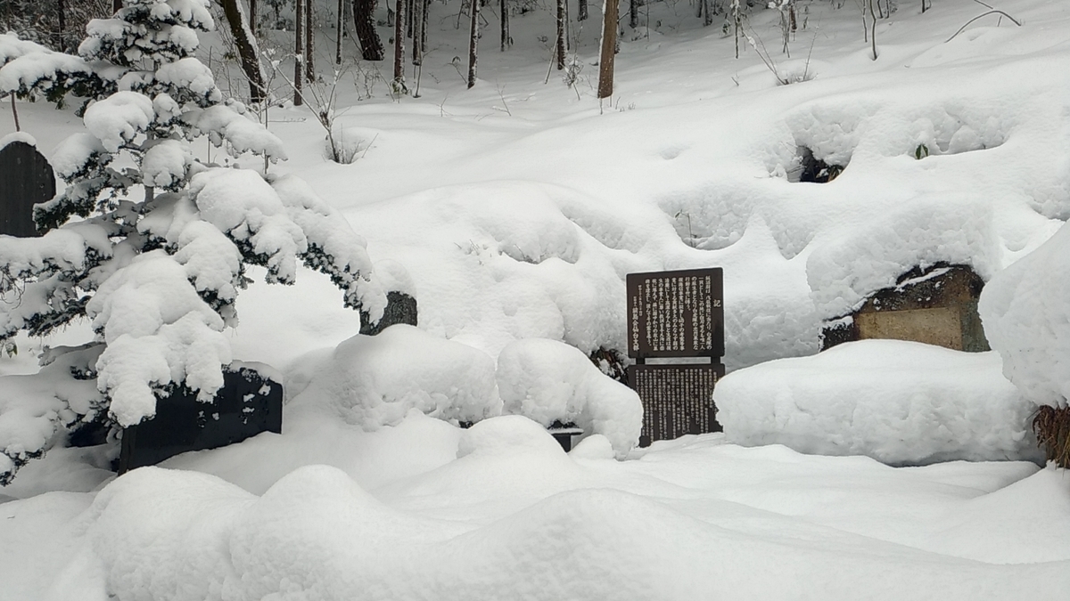 f:id:sendai-deep:20220316175248j:plain