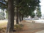 錦町公園
