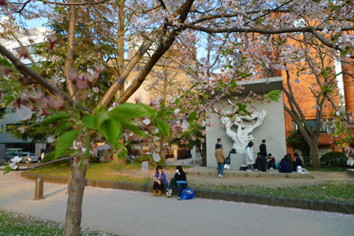 4月13日の錦町公園の桜