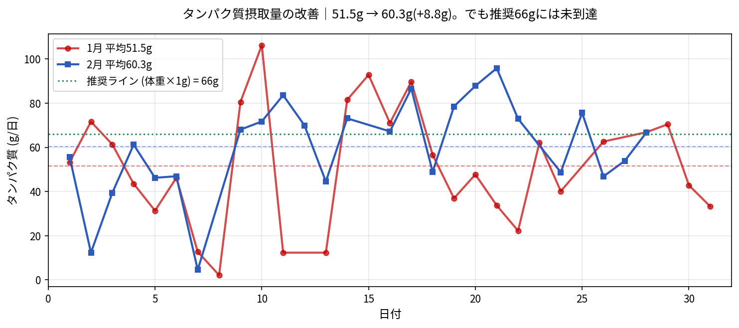 1月と2月のタンパク質摂取量の日次比較グラフ