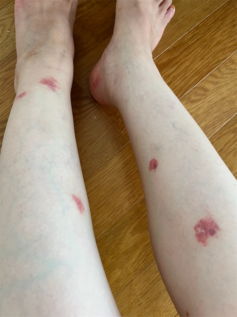 f:id:senduck:20230918061249j:image