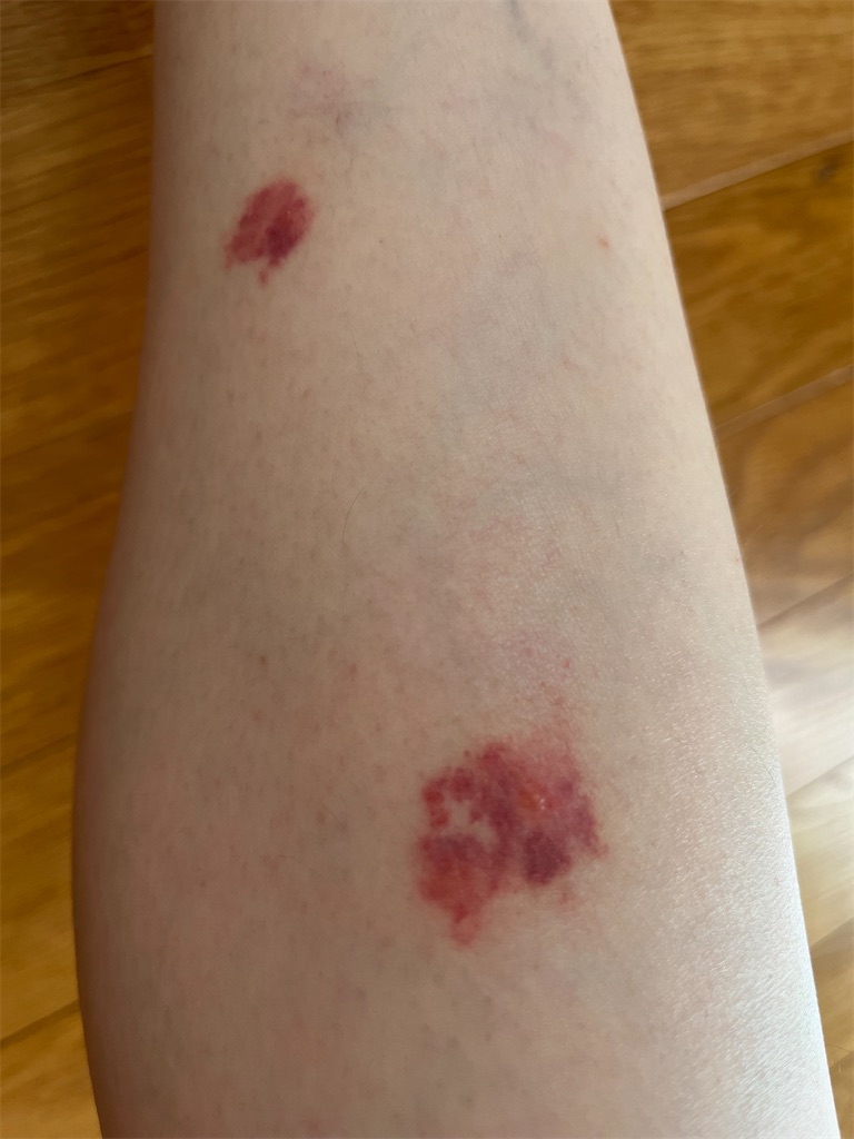 f:id:senduck:20230918061305j:image