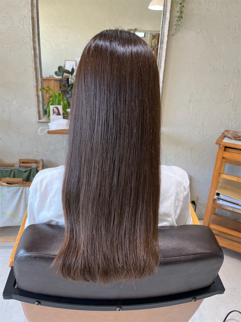 f:id:senduck:20230918063141j:image