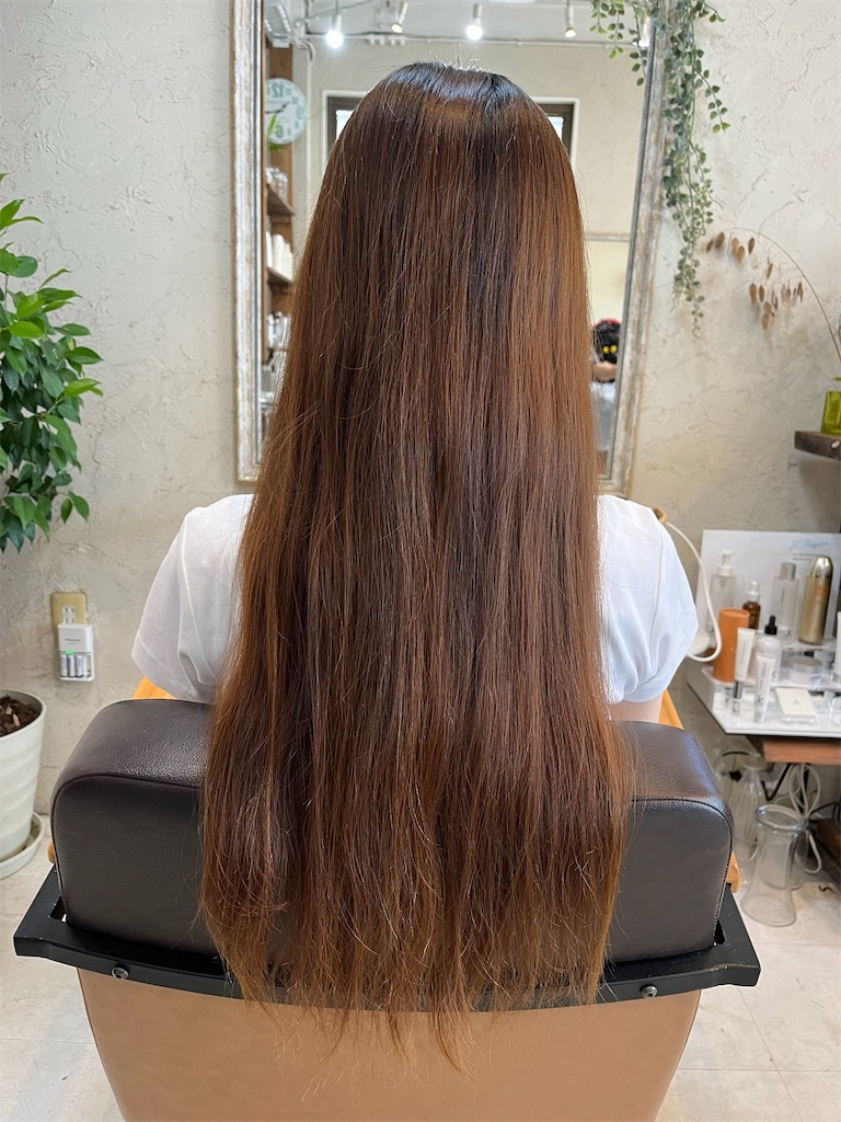 f:id:senduck:20240629214451j:image