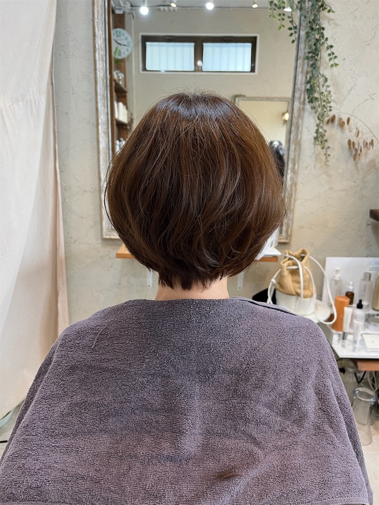 f:id:senduck:20240629214527j:image