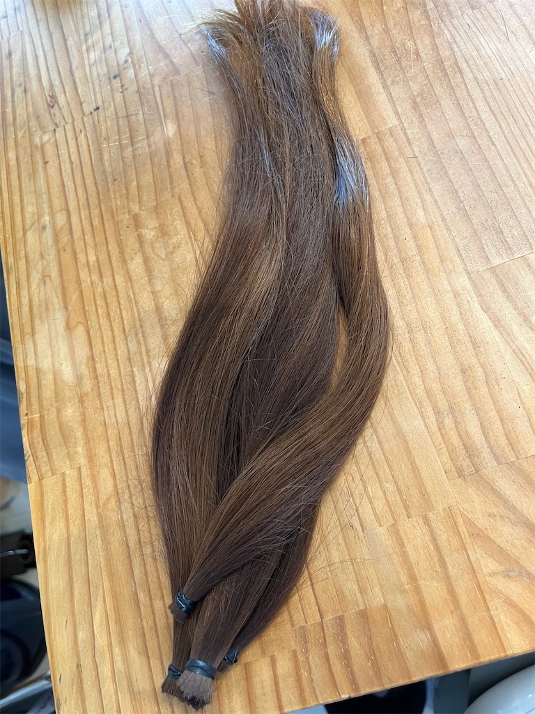 f:id:senduck:20240629215151j:image