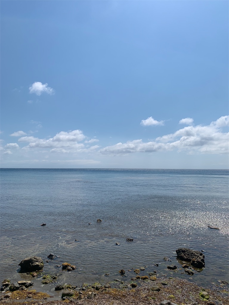 f:id:sengayk:20260525142151j:image f:id:sengayk:20260525142151j:image