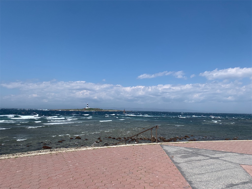 f:id:sengayk:20260525142828j:image f:id:sengayk:20260525142828j:image
