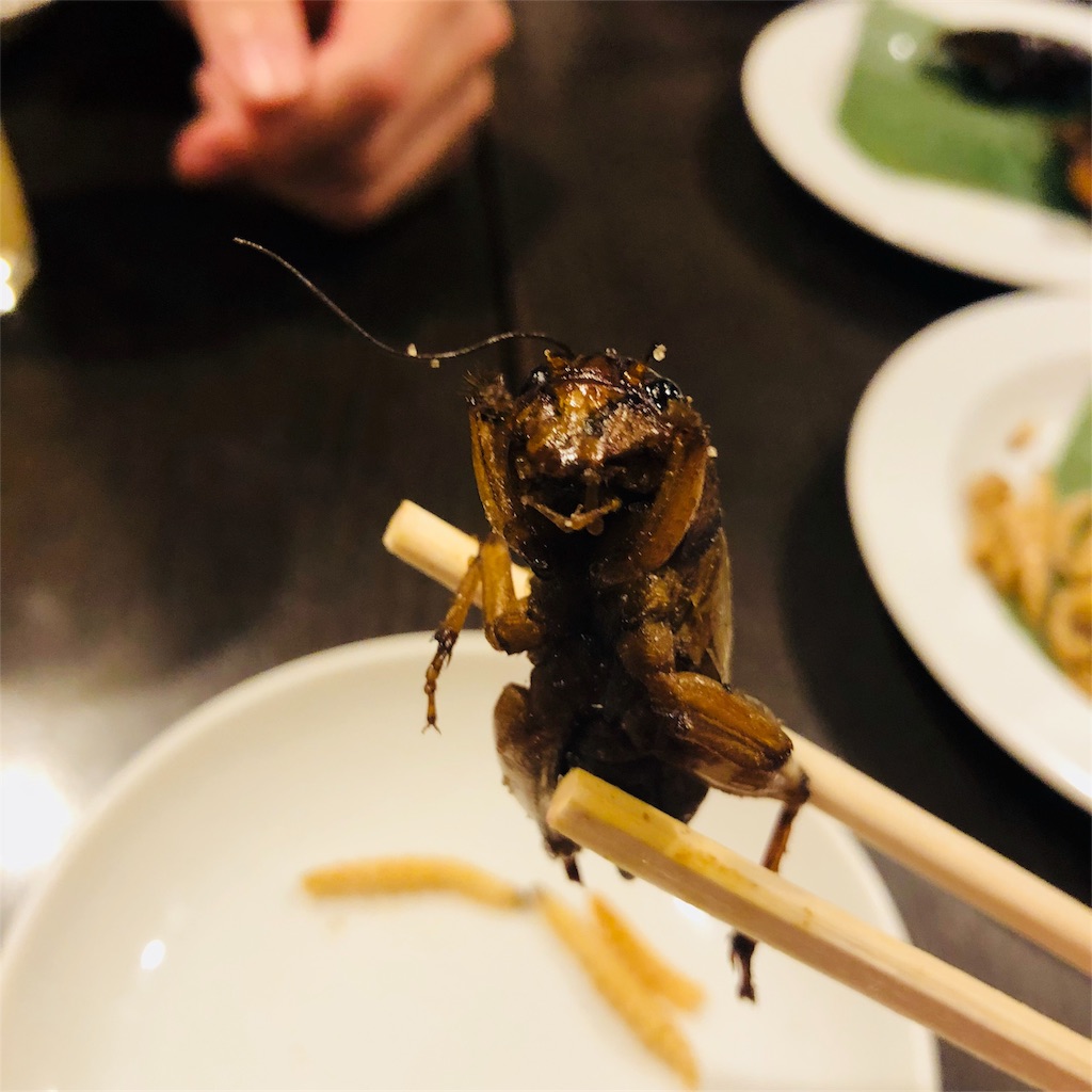 f:id:sengoku00dr:20180525223155j:image f:id:sengoku00dr:20180525223155j:image