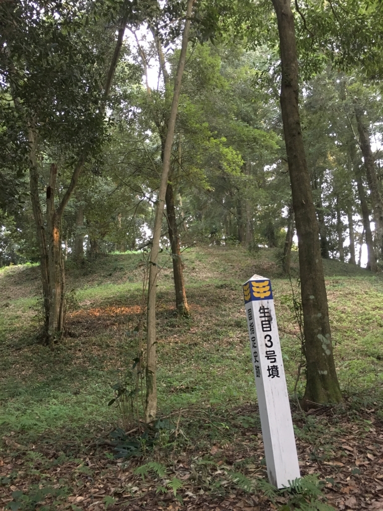 f:id:senjingaran5:20180728074412j:plain f:id:senjingaran5:20180728074412j:plain