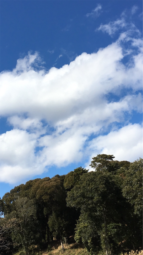 f:id:senjingaran5:20190512051811p:image f:id:senjingaran5:20190512051811p:image